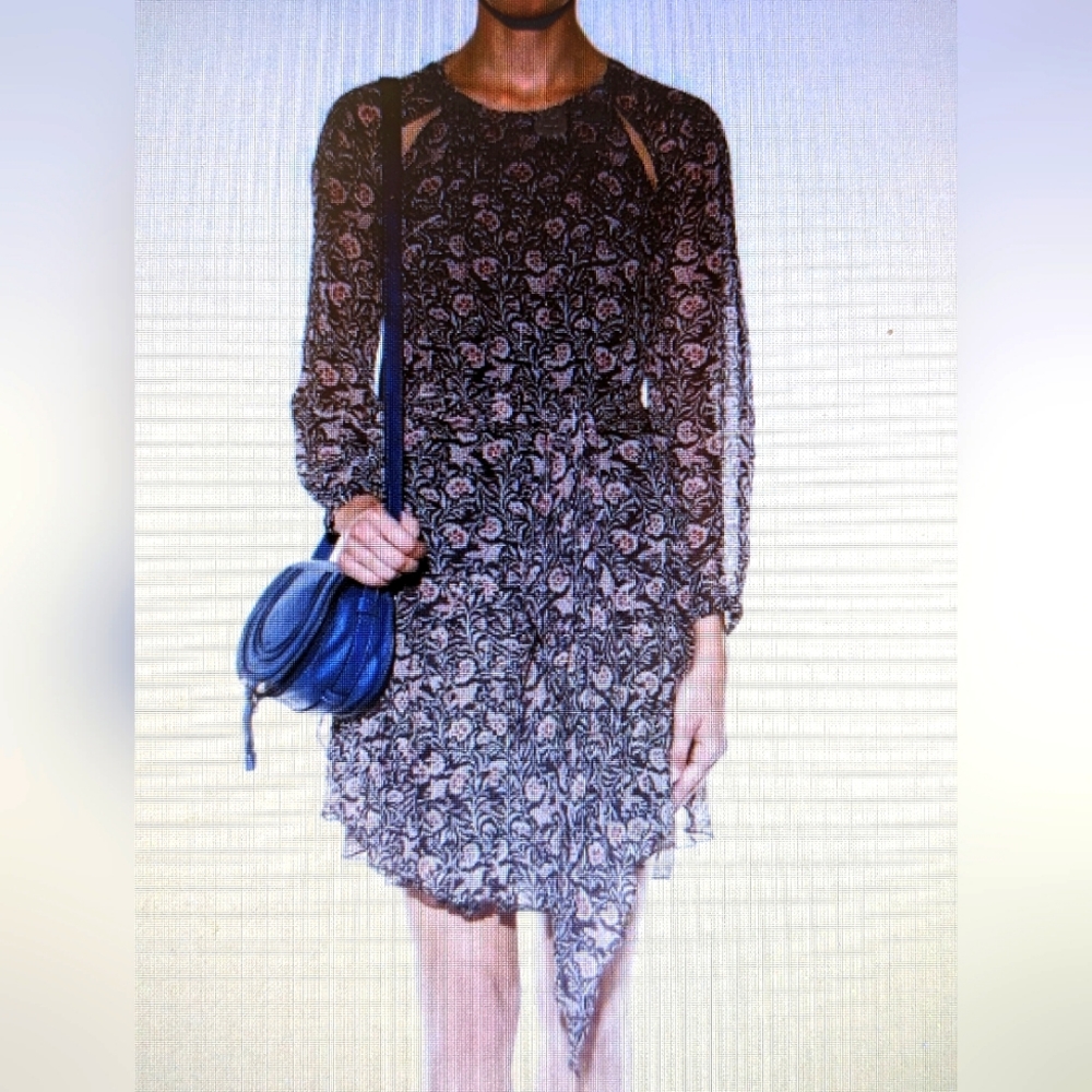 Isabel Marant Drewitt Birdie Dress 42